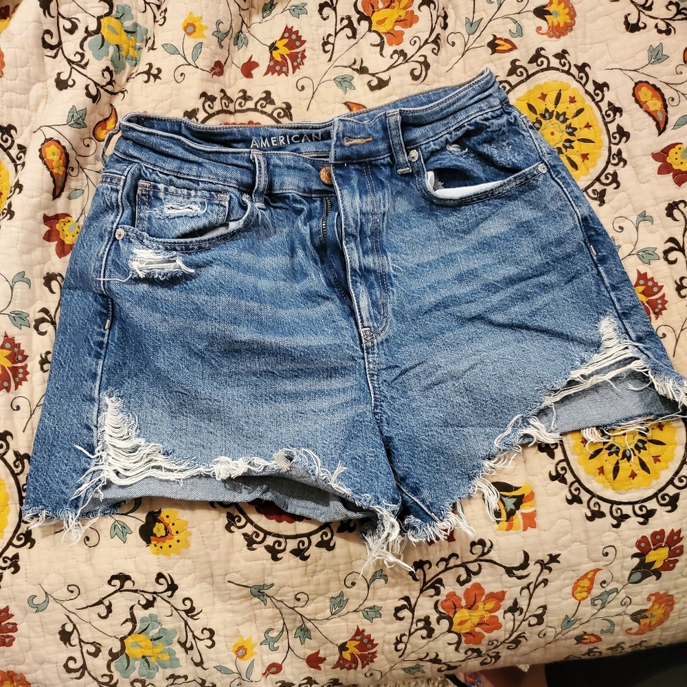 American Eagle Stressed Shorts (8)